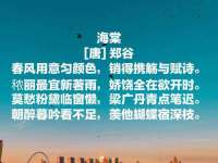 宁夏贝斯特科贸有限公司