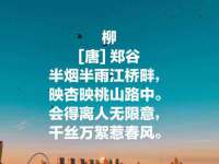 宁夏贝斯特科贸有限公司