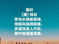 宁夏贝斯特科贸有限公司