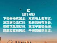 宁夏贝斯特科贸有限公司