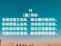 宁夏贝斯特科贸有限公司