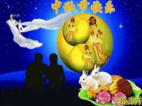 宁夏贝斯特科贸有限公司