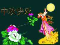 宁夏贝斯特科贸有限公司