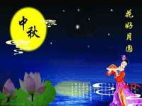 宁夏贝斯特科贸有限公司