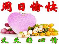 宁夏贝斯特科贸有限公司