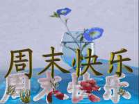 宁夏贝斯特科贸有限公司