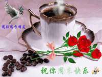 宁夏贝斯特科贸有限公司