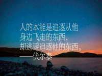 宁夏贝斯特科贸有限公司