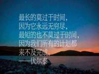宁夏贝斯特科贸有限公司
