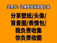 宁夏贝斯特科贸有限公司