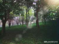 宁夏贝斯特科贸有限公司