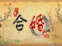 宁夏贝斯特科贸有限公司
