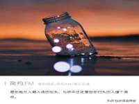 宁夏贝斯特科贸有限公司