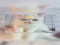 宁夏贝斯特科贸有限公司
