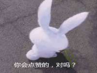 宁夏贝斯特科贸有限公司