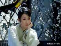 宁夏贝斯特科贸有限公司