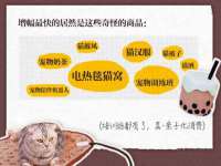 宁夏贝斯特科贸有限公司
