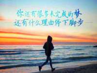 宁夏贝斯特科贸有限公司