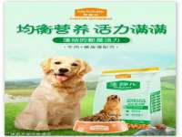 宁夏贝斯特科贸有限公司