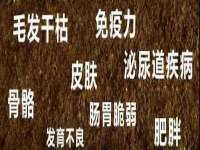 宁夏贝斯特科贸有限公司
