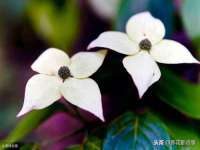 宁夏贝斯特科贸有限公司