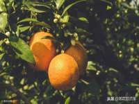 宁夏贝斯特科贸有限公司