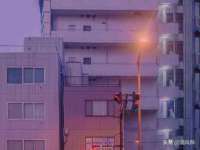 宁夏贝斯特科贸有限公司