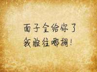 宁夏贝斯特科贸有限公司