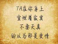 宁夏贝斯特科贸有限公司