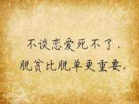 宁夏贝斯特科贸有限公司