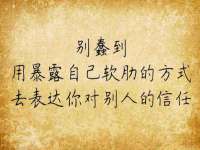 宁夏贝斯特科贸有限公司