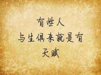 宁夏贝斯特科贸有限公司