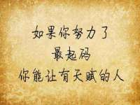 宁夏贝斯特科贸有限公司