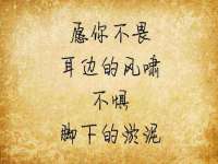 宁夏贝斯特科贸有限公司