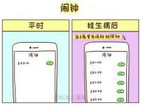 宁夏贝斯特科贸有限公司