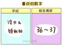 宁夏贝斯特科贸有限公司
