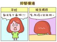 宁夏贝斯特科贸有限公司
