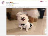 宁夏贝斯特科贸有限公司