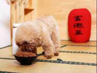宁夏贝斯特科贸有限公司