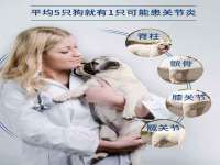 宁夏贝斯特科贸有限公司
