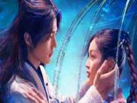 宁夏贝斯特科贸有限公司