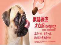 宁夏贝斯特科贸有限公司