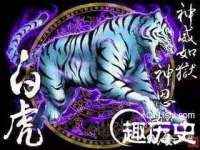 宁夏贝斯特科贸有限公司