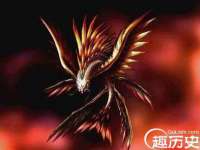 宁夏贝斯特科贸有限公司