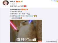 宁夏贝斯特科贸有限公司