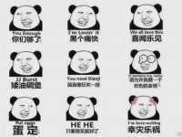 宁夏贝斯特科贸有限公司