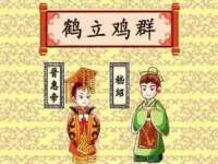 宁夏贝斯特科贸有限公司