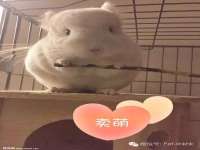 宁夏贝斯特科贸有限公司