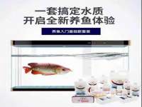 宁夏贝斯特科贸有限公司