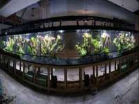 宁夏贝斯特科贸有限公司